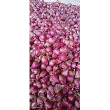 

Bawang Merah