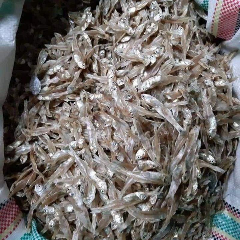 

teri tawar
