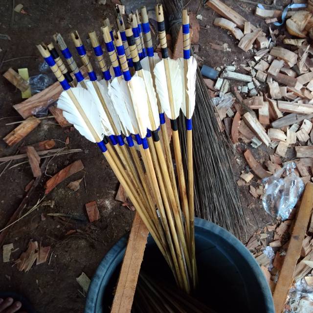 Anak panah bambu petung vanes bulu