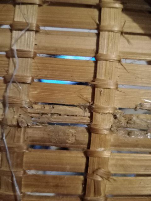 Klakat Dimsum Bambu