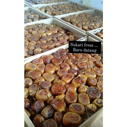

Kurma Sukari premium/Kurma arab/kurma Sukari
