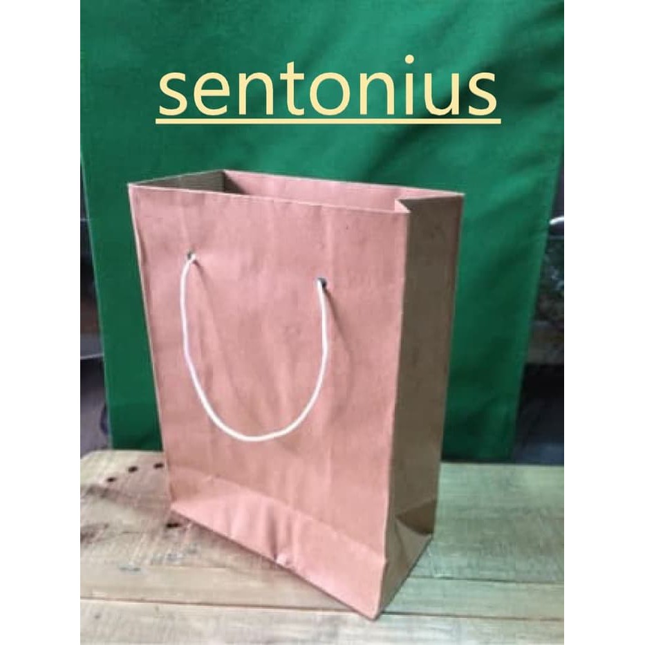 

Paper bag tas kertas shopping bag 20 x 26 polos