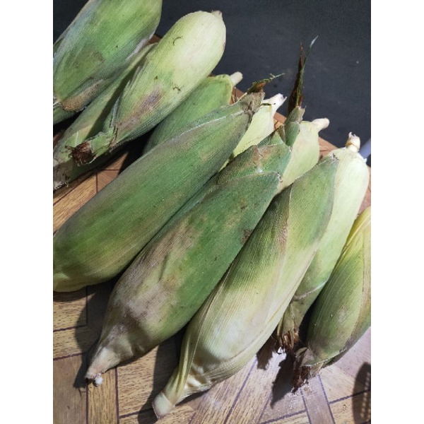 JAGUNG MANIS 1 BUAH / JAGUNG KULIT