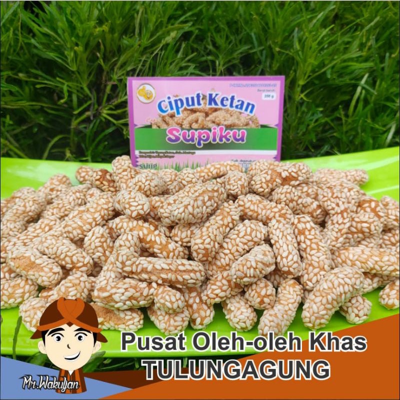 

Ciput Ketan
