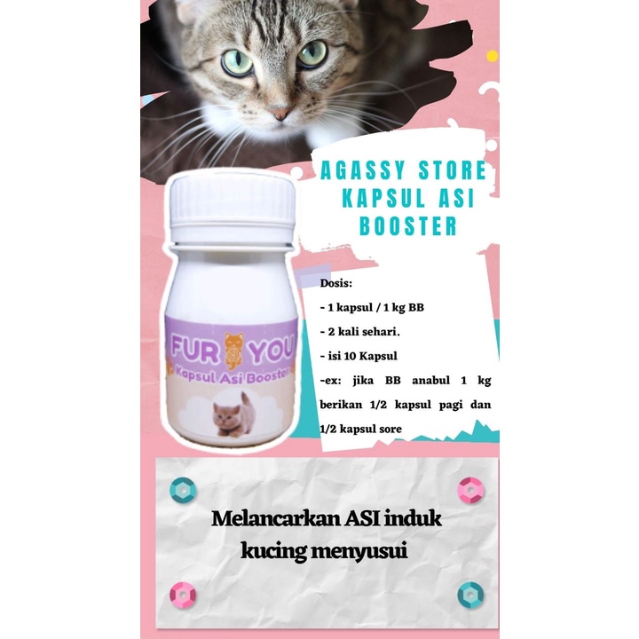 FurYou Asi-K Booster kucing Booster Asi-K memperbanyak Asi-k Kucing