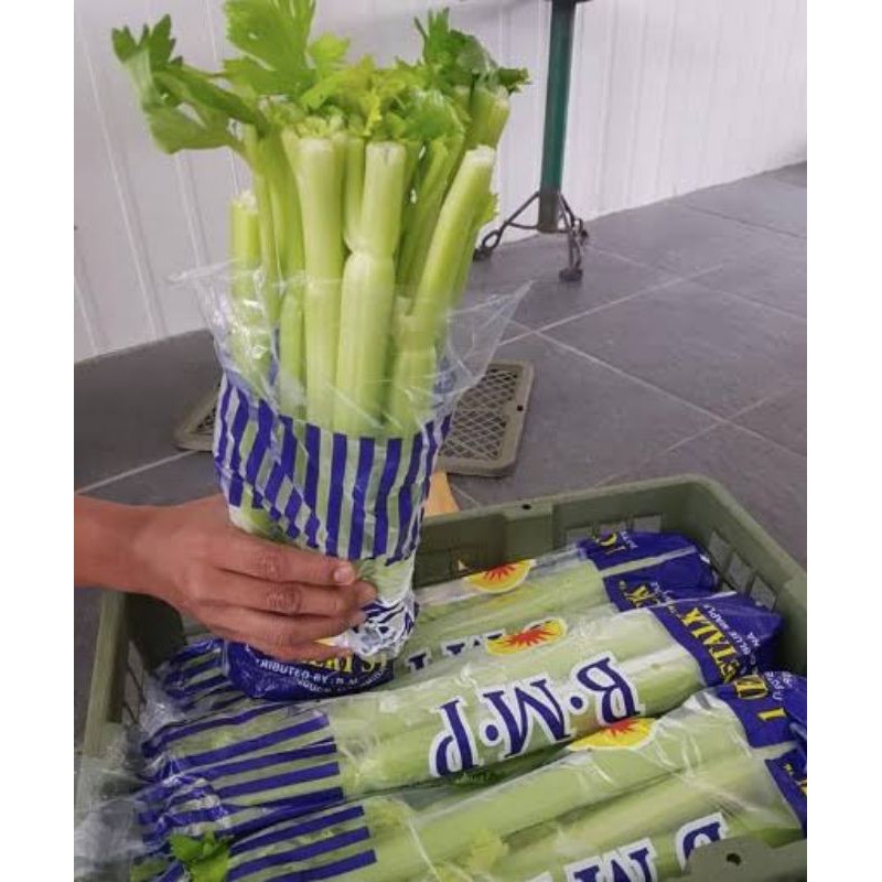 

celery stick import