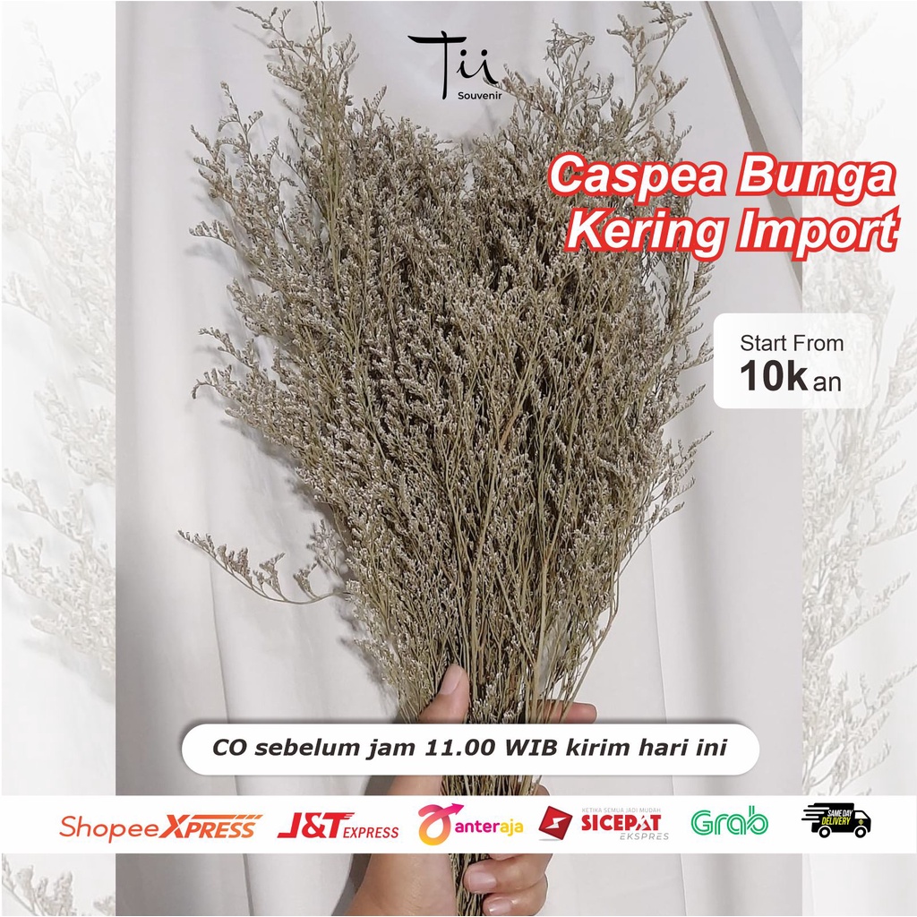 Caspea Bunga Kering Premium