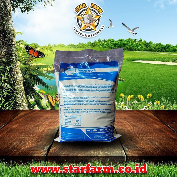 PERAWATAN HEWAN STAR FARM BTM - MAXINOS 1KG SUSU PENGGANTI UNTUK PEDET & CEMPE NEW PERLENGKAPAN