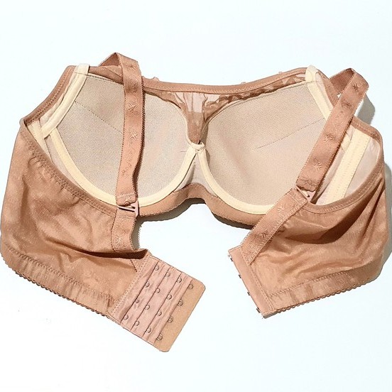 Bra / BH Elena 24488B (Busa Tipis, Pakai Kawat, Bisa Lepas Tali, Kait 4)