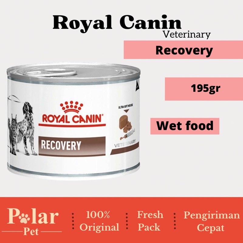 Jual Royal Canin Recovery 195gr wet food makanan obat (veterinary ...