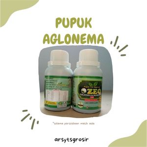 PUPUK TANAMAN HIAS AGLONEMA/ PUPUK COCOK UNTUK TANAMAN AGLONEMA