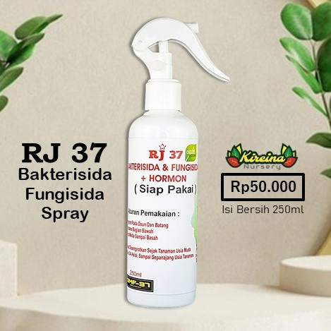 Bakterisida & Fungisida Organik RJ 37 Spray - Siap Pakai