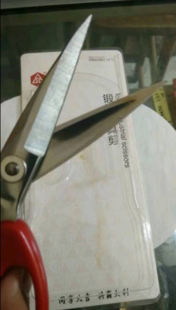 Gunting Kodok - Tailoring Scissors PIN 8&quot; 3083