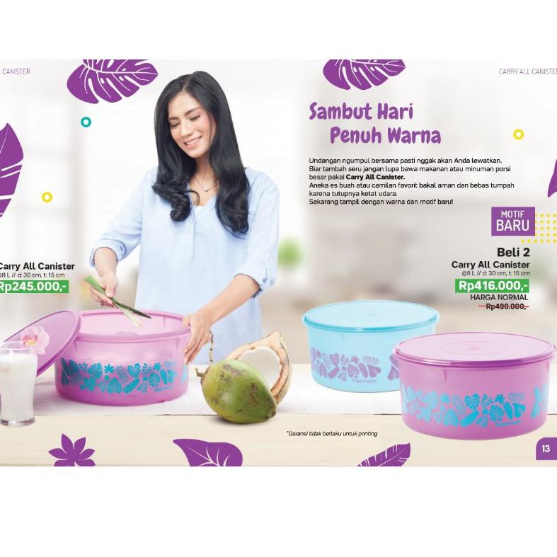 

carry all ter set 2pc atau ecer 1pc + bubble + dus NTC