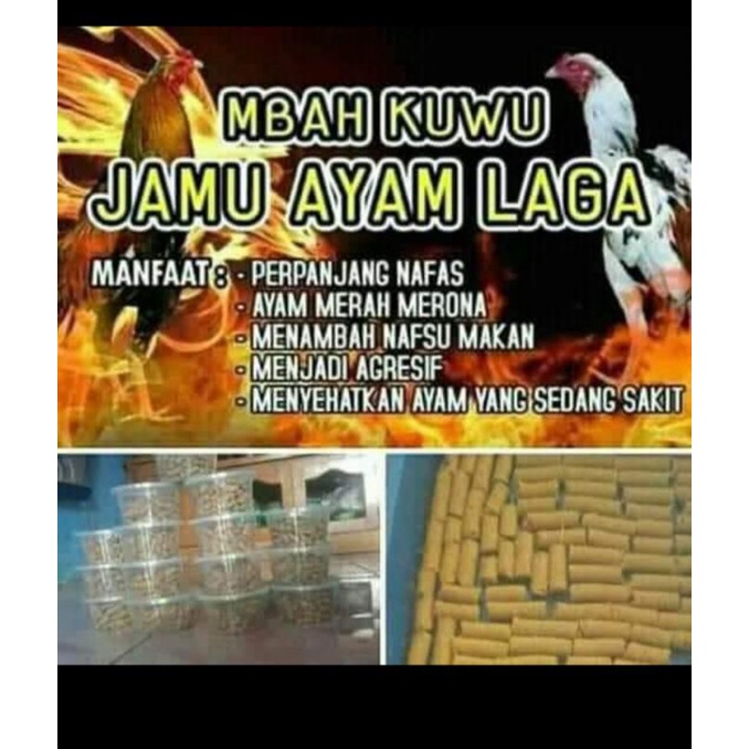 JAMU AYAM MBAH KUWU