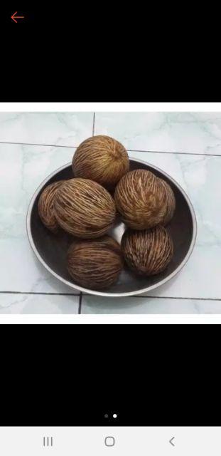 Free Ongkir Pengusir Tikus Alami Buah Simpalak Lebih Alami Dr Riddex Diskon Murah