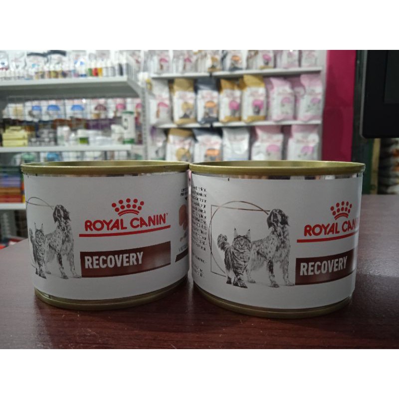 royal canin recovery kaleng 195gr