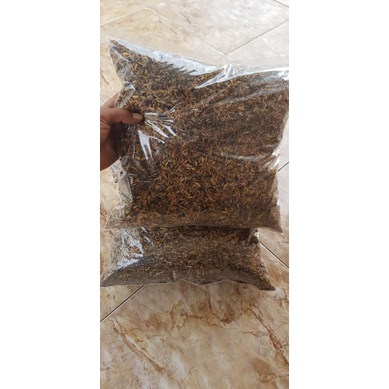 media tanam SEKAM SANGRAI