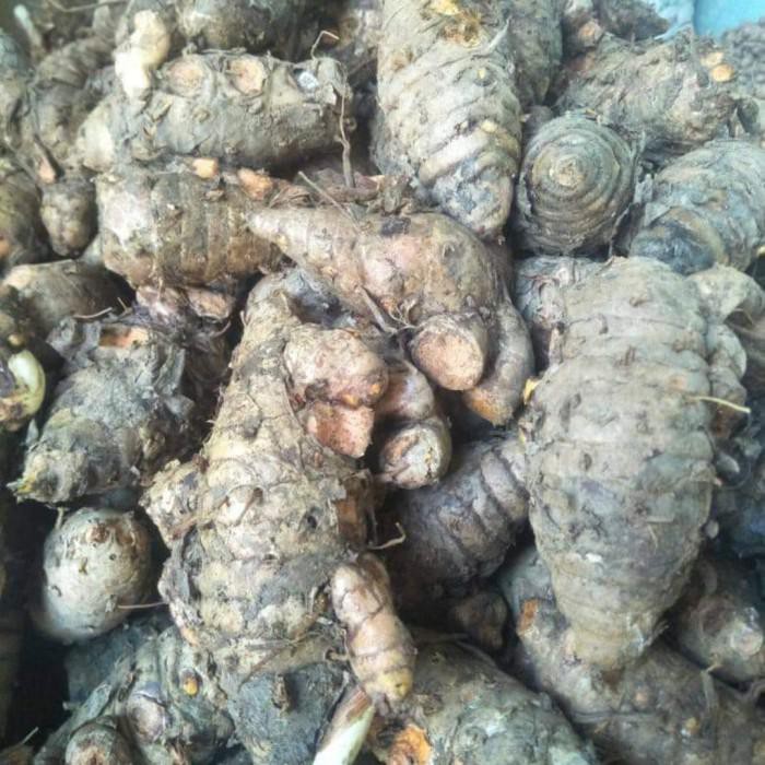 

ORIGINAL BIANG KUNYIT / INDUK KUNYIT 500GRAM !!