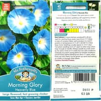 [ 1 PACK ] Benih Bunga Morning Glory Heavenly Blue - Mr. Fothergills