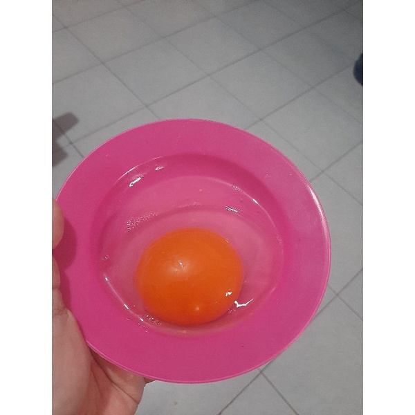 

Telur bebek omega