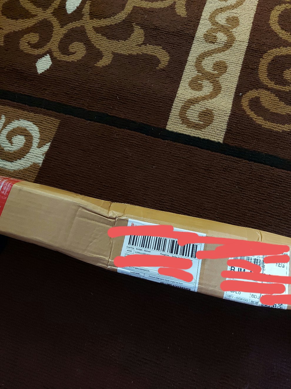 Bibit Long Murbei Super Manis