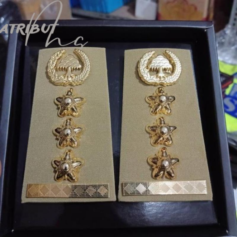 pangkat ASN Jawa timur gol 4A PDH