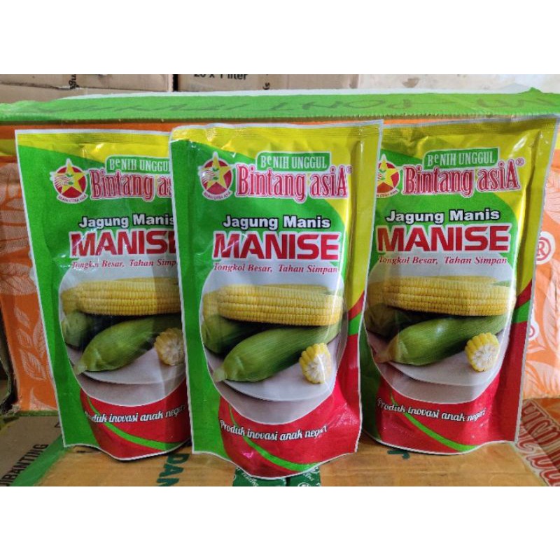 Benih Jagung MANISE (250 gr) bibit jagung manis
