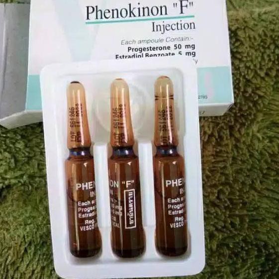 ♛✾✿BestSeller➽✾❖ ORIGINAL Phenokinon f hormon wanita VESCO |{<წTerlarizწ>}|