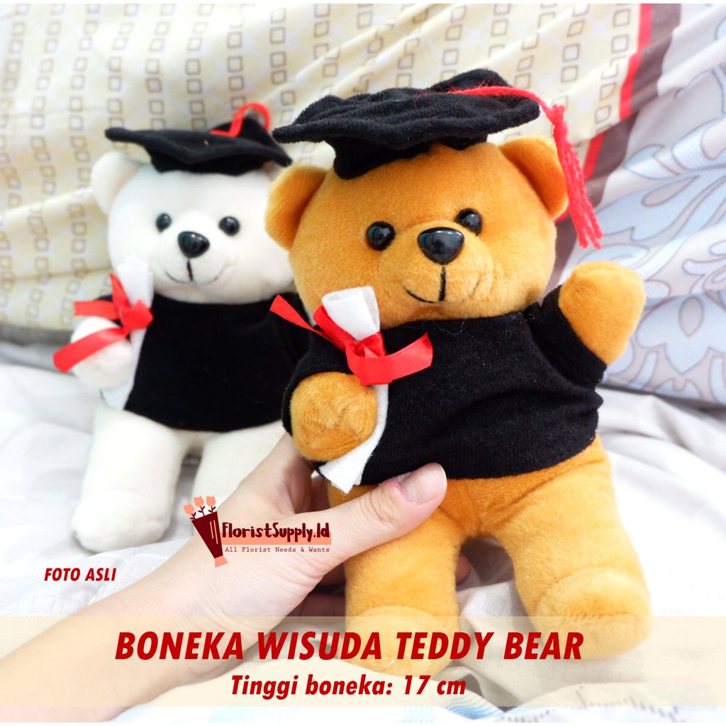 Boneka Wisuda Teddy Bear / Boneka Wisuda Kacamata Teddy Bear