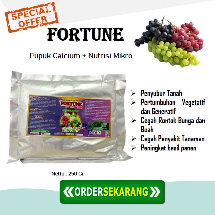 Pupuk Bibit Buah Anggur, Pupuk Boster Agar Cepat berbuah Lebat