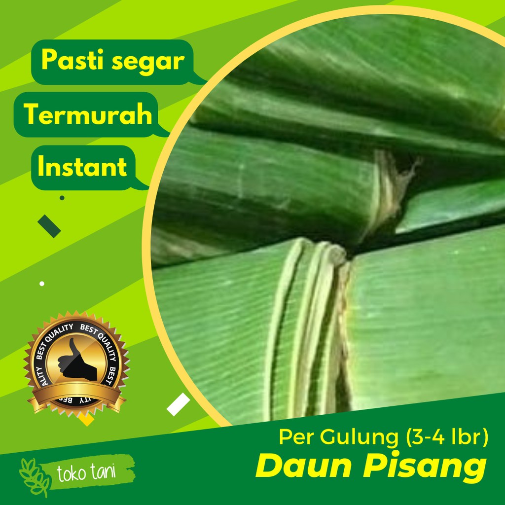

Daun Pisang Per Ikat