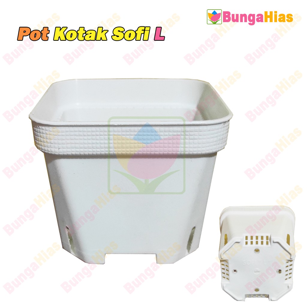 Sofi L Pot Kotak Tanaman Hias Bunga Hias Plastik Mini Kecil