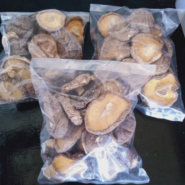 Jamur Shiitake / Hioko