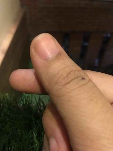 Bantal Custom Design Foto Cetak 2 Sisi