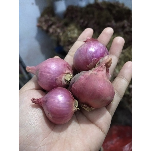 

Bawang Merah Super