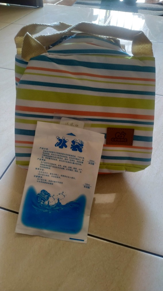 Lunch Bag / Cooler Bag Motif Salur / Tas Bekal Makan