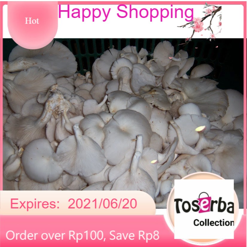 

Toserba Collection Jamur Tiram Sayuran Segar Bandung - Cimahi