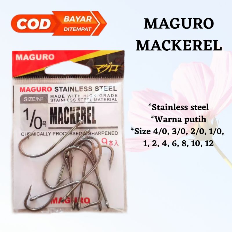 PANCING MAGURO MACKEREL | MAGURO BARRACUDA