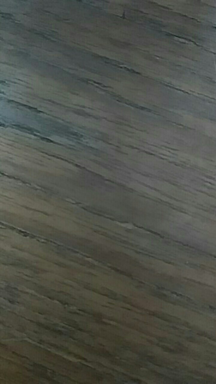 Pengaman Elastis Pintu Lemari Laci Bening Motif Bulat Beruang Smile