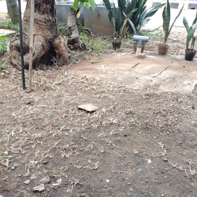 Jemuran Dinding Alumunium Capstok / Cantolan Hanger