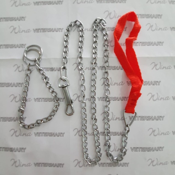 BEST PROMO RANTAI ANJING- KUCING HEWAN KECIL ASLI