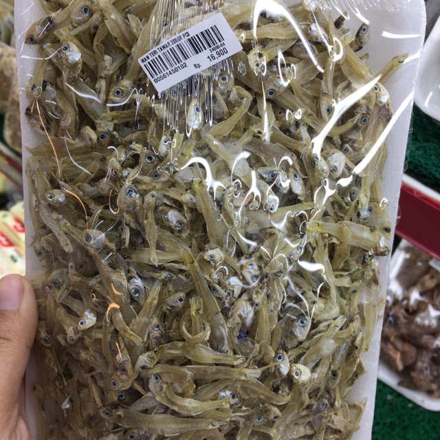 

Ikan teri tawar medan