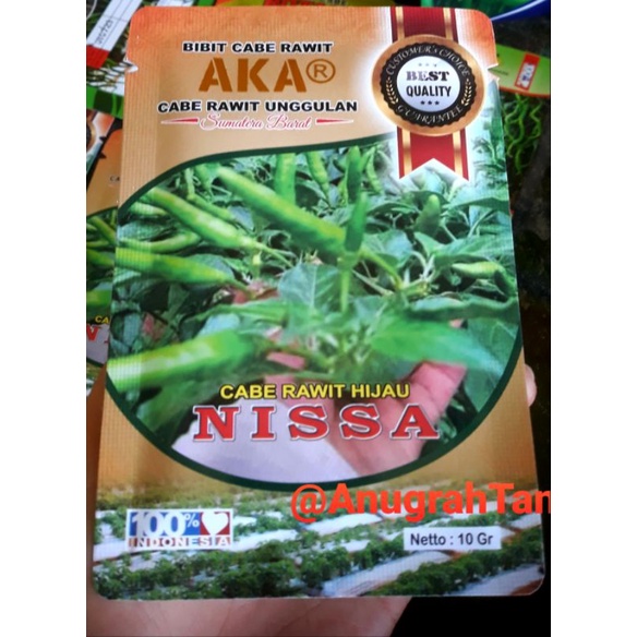 [BISA COD] Cabe Rawit Hijau Nissa. Benih Cabe Rawit Hijau AKAR - Bibit Cabe Rawit Nissa Nisa Varieta