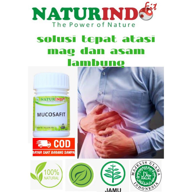 jual obat maagh herbal alami MUCOSAFIT NATURINDO