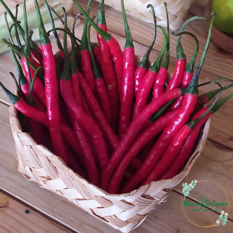 

Cabe Merah Keriting Segar 250 gram | Sayur Segar Cikarang