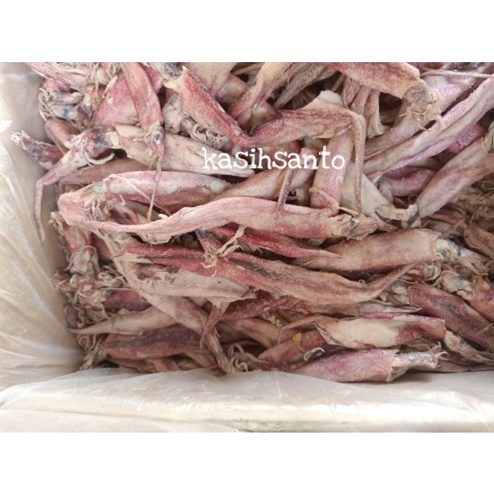 

Q1254521 Ikan Asin Cumi 1Kg - Cumi,Lontar-1Kg Dw51Sqs