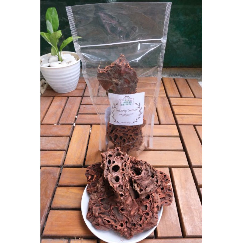 

Sarang Semut Papua Premium - 100gram