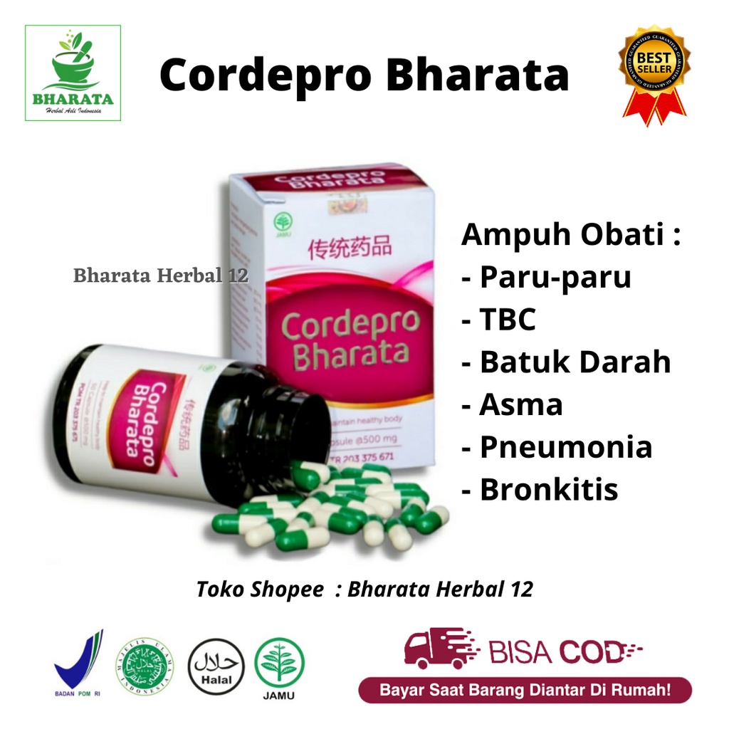 Obat Paru-Paru Batuk Darah Cordepro Bharata Herbal Ampuh | Obat Tbc Cordepro Bharata Asli 100%