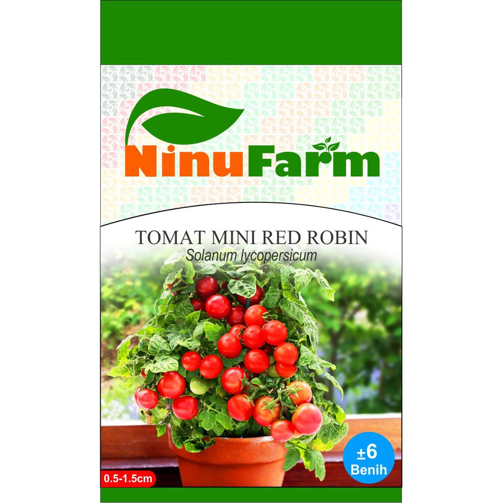 Benih Tomat Mini Robin 6Seeds